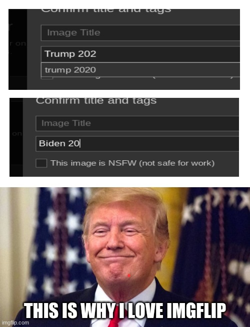 imgflip is awesome | THIS IS WHY I LOVE IMGFLIP | image tagged in blank white template,imgflip,donald trump,i love it when a plan comes together,conservative | made w/ Imgflip meme maker