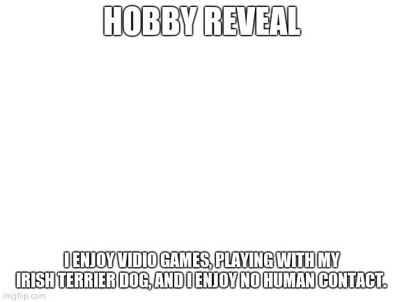 Blank White Template | HOBBY REVEAL; I ENJOY VIDIO GAMES, PLAYING WITH MY IRISH TERRIER DOG, AND I ENJOY NO HUMAN CONTACT. | image tagged in blank white template | made w/ Imgflip meme maker
