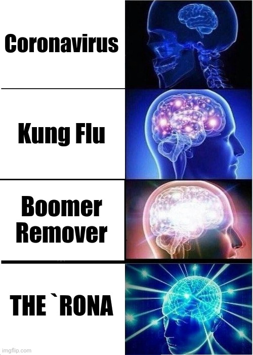 Expanding Brain | Coronavirus; Kung Flu; Boomer Remover; THE `RONA | image tagged in memes,expanding brain,coronavirus | made w/ Imgflip meme maker