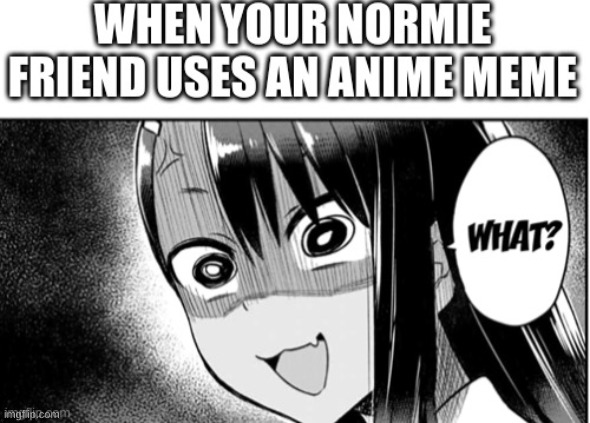 lmfao why tho | image tagged in amime,amine,anime,anima | made w/ Imgflip meme maker