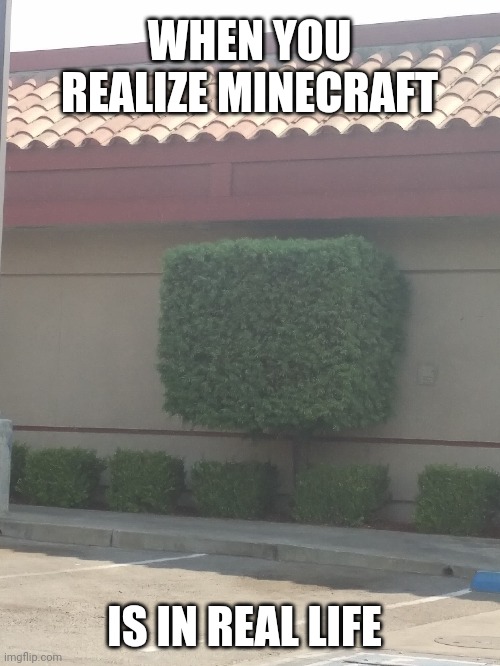 Minecraft In real life |  WHEN YOU REALIZE MINECRAFT; IS IN REAL LIFE | image tagged in minecraft | made w/ Imgflip meme maker