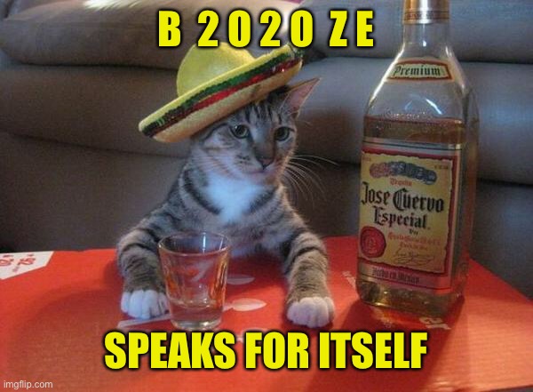 Spelling It Out | B  2 O 2 O  Z E; SPEAKS FOR ITSELF | image tagged in alcohol cat,2020,booze | made w/ Imgflip meme maker