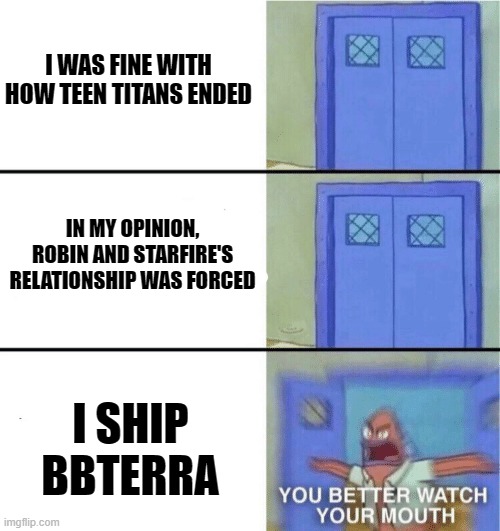 You better watch your mouth | I WAS FINE WITH HOW TEEN TITANS ENDED; IN MY OPINION, ROBIN AND STARFIRE'S RELATIONSHIP WAS FORCED; I SHIP BBTERRA | image tagged in you better watch your mouth | made w/ Imgflip meme maker
