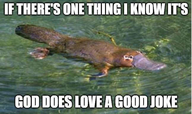 Platypus by Strongly Opinionated Platypus | IF THERE'S ONE THING I KNOW IT'S; GOD DOES LOVE A GOOD JOKE | image tagged in platypus by strongly opinionated platypus | made w/ Imgflip meme maker