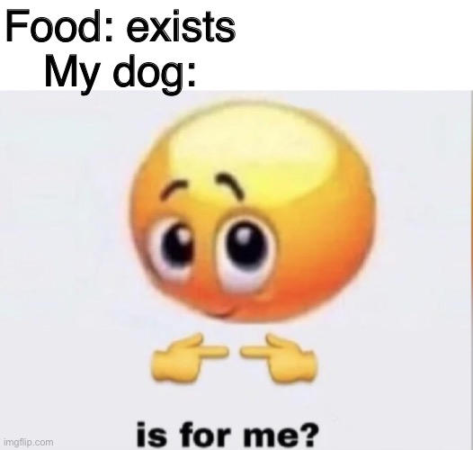 My dog used to live on the streets so yeah. | Food: exists
My dog: | image tagged in is for me | made w/ Imgflip meme maker