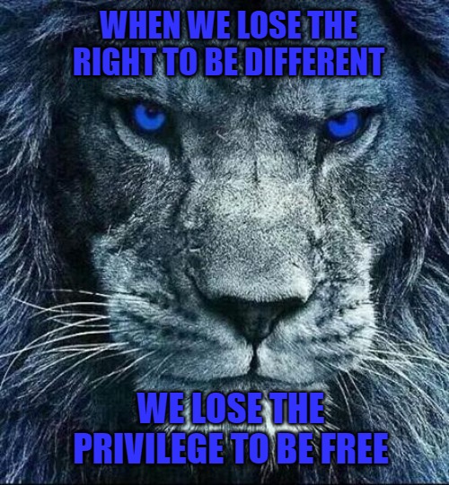 detroit lions | WHEN WE LOSE THE RIGHT TO BE DIFFERENT; WE LOSE THE PRIVILEGE TO BE FREE | image tagged in detroit lions | made w/ Imgflip meme maker