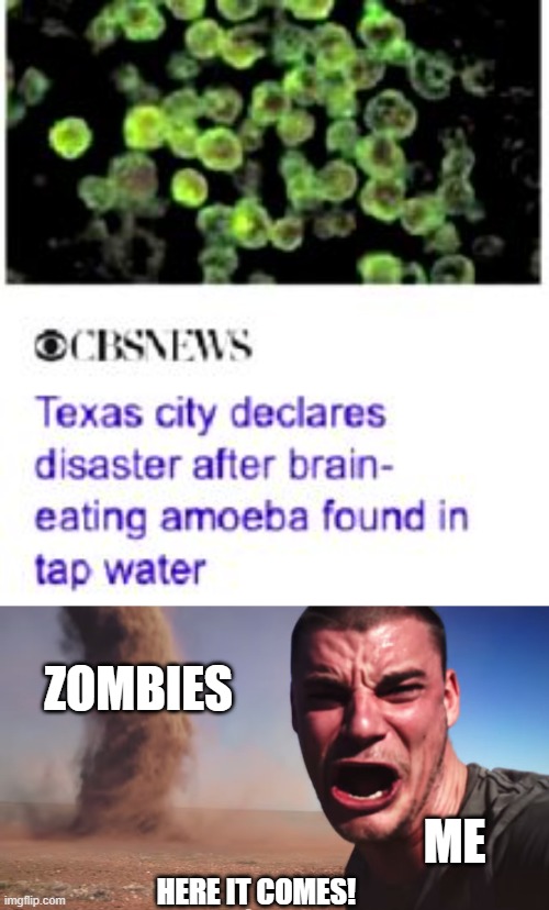The Zombie apocalypses is almost upon us. | ZOMBIES; ME; HERE IT COMES! | image tagged in here it comes | made w/ Imgflip meme maker