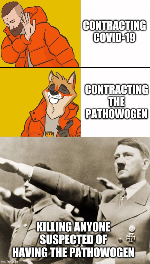 CONTRACTING COVID-19; CONTRACTING THE PATHOWOGEN; KILLING ANYONE SUSPECTED OF HAVING THE PATHOWOGEN | image tagged in furry drake,furry,anti furry,hitler,drake hotline bling,covid-19 | made w/ Imgflip meme maker