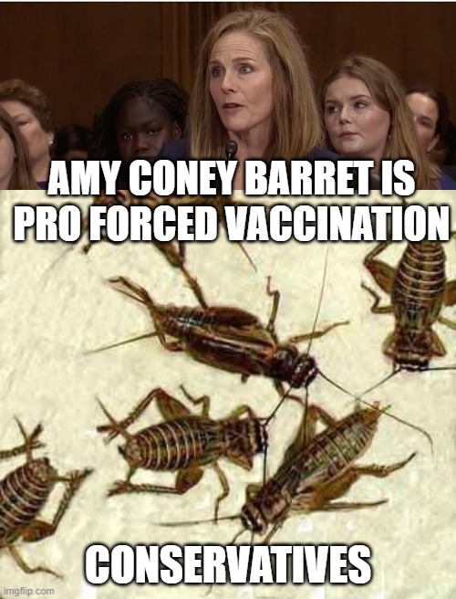 Conservative Crickets | AMY CONEY BARRET IS PRO FORCED VACCINATION; CONSERVATIVES | image tagged in crickets,amy coney barrett,pro forced vaccine | made w/ Imgflip meme maker