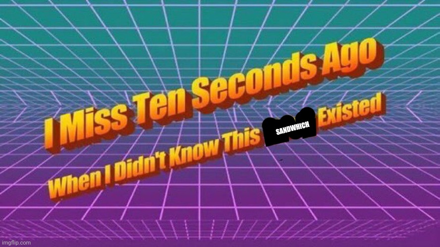 I miss ten seconds ago | SANDWHICH | image tagged in i miss ten seconds ago | made w/ Imgflip meme maker