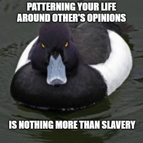Angry mallard | PATTERNING YOUR LIFE AROUND OTHER'S OPINIONS; IS NOTHING MORE THAN SLAVERY | image tagged in angry mallard | made w/ Imgflip meme maker