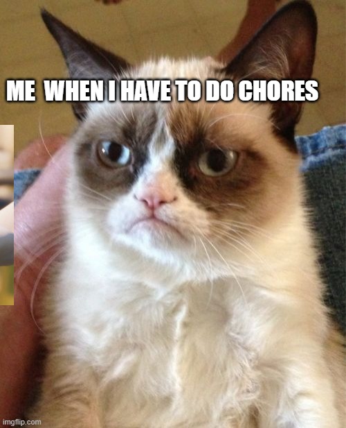 Grumpy Cat Meme | ME  WHEN I HAVE TO DO CHORES | image tagged in memes,grumpy cat | made w/ Imgflip meme maker