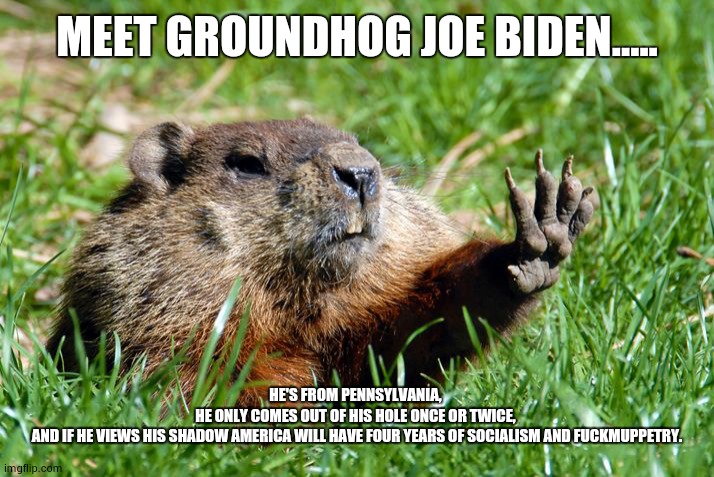 High Quality Groundhog Joe Biden Blank Meme Template