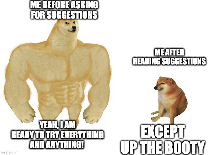 Big dog small dog | ME BEFORE ASKING FOR SUGGESTIONS; ME AFTER READING SUGGESTIONS; YEAH, I AM READY TO TRY EVERYTHING AND ANYTHING! EXCEPT UP THE BOOTY | image tagged in big dog small dog | made w/ Imgflip meme maker