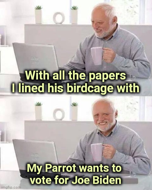 The Media has made their decision | With all the papers I lined his birdcage with; My Parrot wants to 
vote for Joe Biden | image tagged in memes,hide the pain harold,biased media,left wing,left 4 dead | made w/ Imgflip meme maker