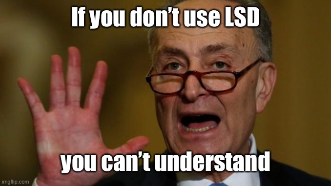 Chuck Schumer | If you don’t use LSD you can’t understand | image tagged in chuck schumer | made w/ Imgflip meme maker