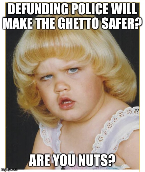 Sarcastic child | DEFUNDING POLICE WILL MAKE THE GHETTO SAFER? ARE YOU NUTS? | image tagged in funny meme,funny memes | made w/ Imgflip meme maker