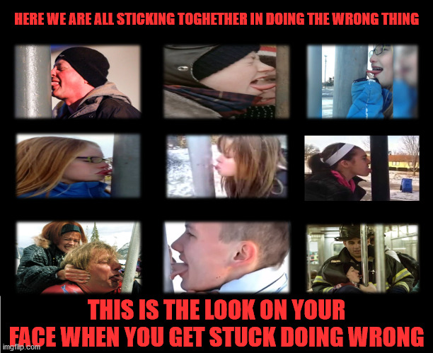 Stuck our Nose in It | HERE WE ARE ALL STICKING TOGHETHER IN DOING THE WRONG THING; THIS IS THE LOOK ON YOUR FACE WHEN YOU GET STUCK DOING WRONG | image tagged in you're doing it wrong,doing  the wrong thing,what could go wrong,i have no idea what i am doing,why am i doing this | made w/ Imgflip meme maker