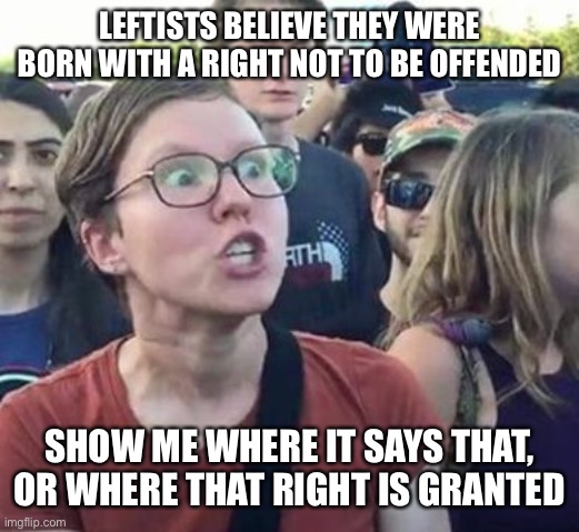 Leftist believe we should live to the sensibilities of the most sensitive snowflake | LEFTISTS BELIEVE THEY WERE BORN WITH A RIGHT NOT TO BE OFFENDED; SHOW ME WHERE IT SAYS THAT, OR WHERE THAT RIGHT IS GRANTED | image tagged in trigger a leftist,snowflakes,offended,college liberal,liberal logic | made w/ Imgflip meme maker
