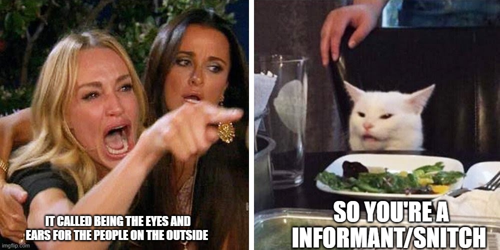 Smudge the cat | SO YOU'RE A INFORMANT/SNITCH; IT CALLED BEING THE EYES AND EARS FOR THE PEOPLE ON THE OUTSIDE | image tagged in smudge the cat | made w/ Imgflip meme maker