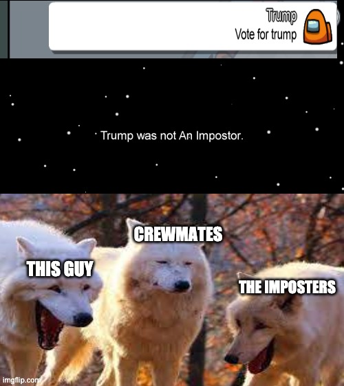 Vote trump 2020... | CREWMATES; THIS GUY; THE IMPOSTERS | image tagged in among us,funny | made w/ Imgflip meme maker