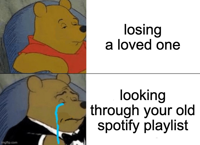 big sad | losing a loved one; looking through your old spotify playlist | image tagged in memes | made w/ Imgflip meme maker