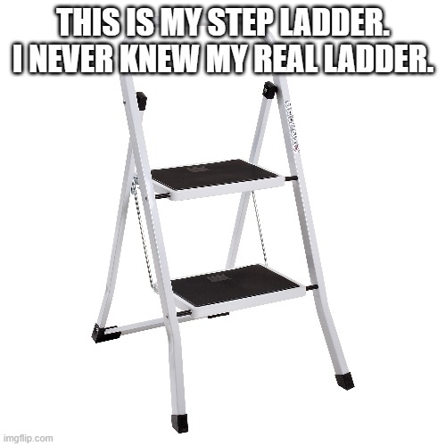 Dad joke meme x3 |  THIS IS MY STEP LADDER. I NEVER KNEW MY REAL LADDER. | image tagged in dad joke,stupid,random | made w/ Imgflip meme maker