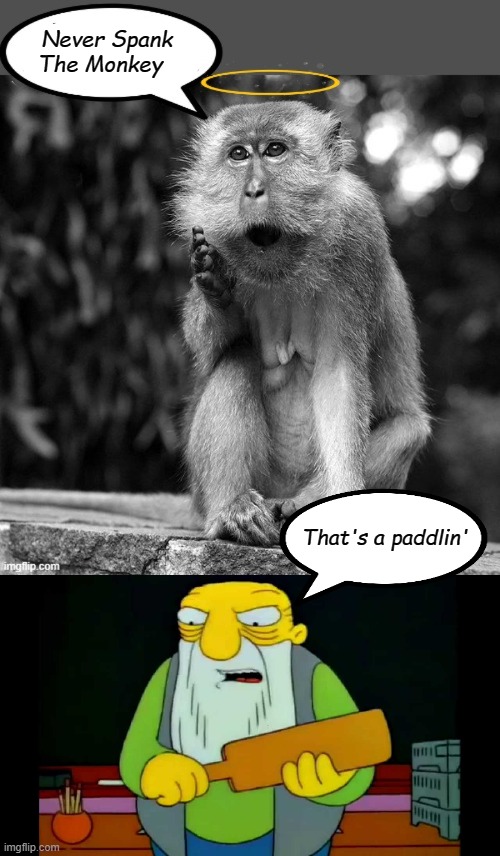 Monkey Spanking | Never Spank The Monkey; That's a paddlin' | image tagged in hay tabla,that's a paddlin',monkey spank | made w/ Imgflip meme maker