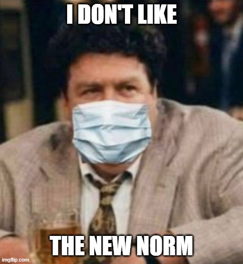 Fully Open Up the USA | I DON'T LIKE; THE NEW NORM | image tagged in masks,cheers,maga | made w/ Imgflip meme maker