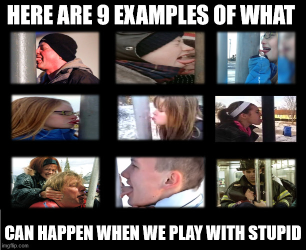 Playing With Stupid | HERE ARE 9 EXAMPLES OF WHAT; CAN HAPPEN WHEN WE PLAY WITH STUPID | image tagged in special kind of stupid,you can't fix stupid,my face when i play with stupid,playing with stupid,stuck on stupid | made w/ Imgflip meme maker