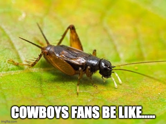 COWBOYS FANS BE LIKE..... | image tagged in cowboys fans | made w/ Imgflip meme maker
