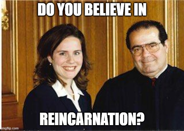 Payback | DO YOU BELIEVE IN; REINCARNATION? | image tagged in scotus | made w/ Imgflip meme maker