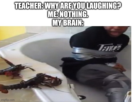Being Kidnapped By Lobsters | TEACHER: WHY ARE YOU LAUGHING?
ME: NOTHING.
MY BRAIN: | image tagged in lobster,funny,person,crab,tub,kidnap | made w/ Imgflip meme maker