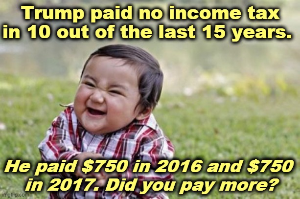 If Trump paid his taxes, you wouldn't have to pay as much. | Trump paid no income tax in 10 out of the last 15 years. He paid $750 in 2016 and $750 
in 2017. Did you pay more? | image tagged in memes,evil toddler,trump,taxes,fraud | made w/ Imgflip meme maker
