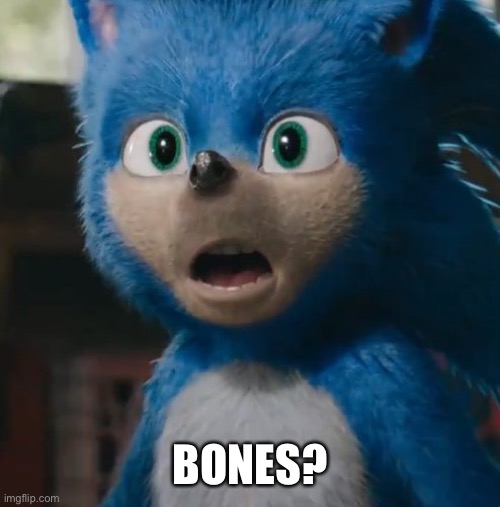 Sonic Movie | BONES? | image tagged in sonic movie | made w/ Imgflip meme maker
