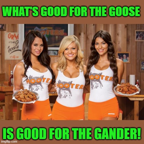 Hooters Girls | WHAT'S GOOD FOR THE GOOSE IS GOOD FOR THE GANDER! | image tagged in hooters girls | made w/ Imgflip meme maker