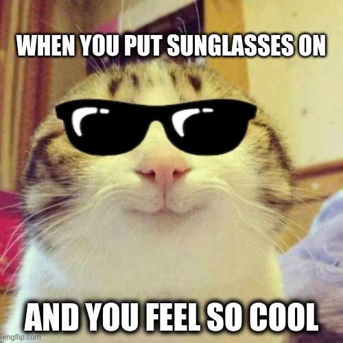 ???? | WHEN YOU PUT SUNGLASSES ON; AND YOU FEEL SO COOL | image tagged in memes,smiling cat | made w/ Imgflip meme maker