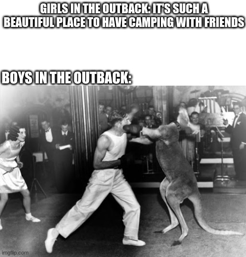 GIRLS IN THE OUTBACK: IT'S SUCH A BEAUTIFUL PLACE TO HAVE CAMPING WITH FRIENDS; BOYS IN THE OUTBACK: | image tagged in memes,boys vs girls,outback,australia,kangaroo | made w/ Imgflip meme maker