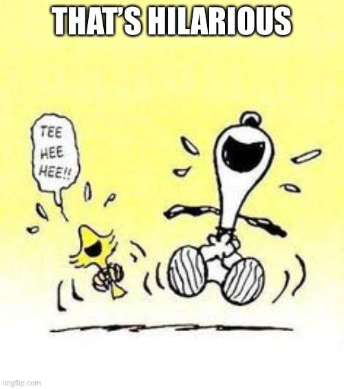 Snoopy and Woodstock laughing | THAT’S HILARIOUS | image tagged in snoopy and woodstock laughing | made w/ Imgflip meme maker