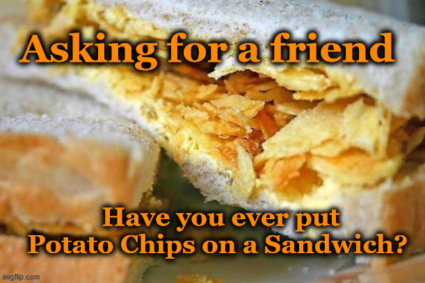 sandwich | Asking for a friend; Have you ever put Potato Chips on a Sandwich? | image tagged in sandwich | made w/ Imgflip meme maker