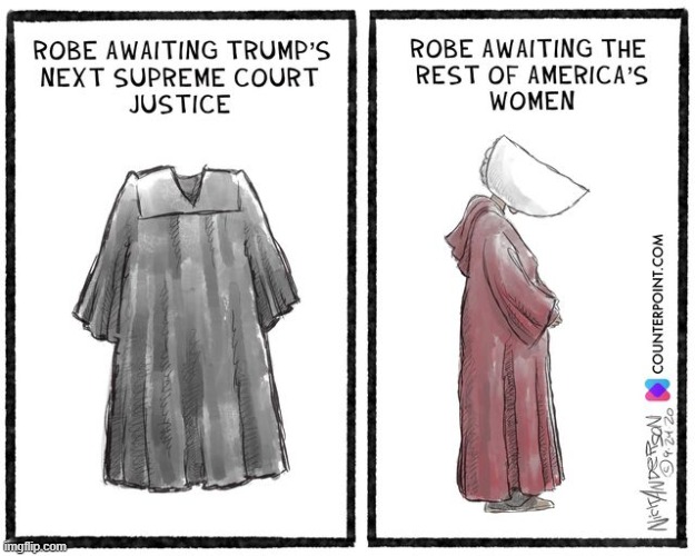 Representation by females doesn't ensure women's interests will be safeguarded. Ideas matter. | image tagged in scotus,supreme court,repost,reposts,feminism,ruth bader ginsburg | made w/ Imgflip meme maker