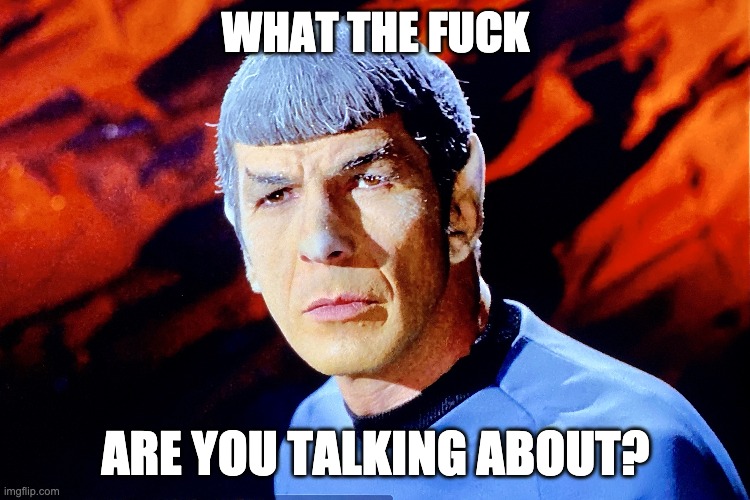What the fuck are you talking about? | WHAT THE FUCK; ARE YOU TALKING ABOUT? | image tagged in wtf,spock,star,trek,tos | made w/ Imgflip meme maker