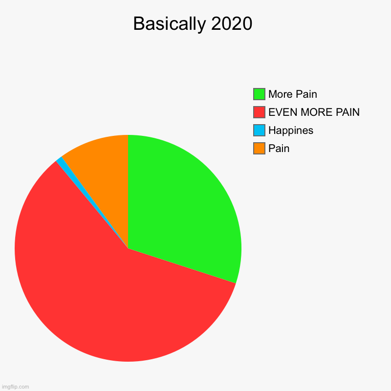 Basically 2020 | Pain, Happines, EVEN MORE PAIN, More Pain | image tagged in charts,pie charts | made w/ Imgflip chart maker