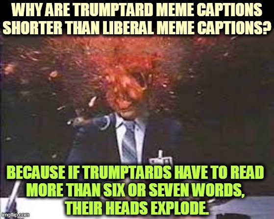 Trumptard memes | WHY ARE TRUMPTARD MEME CAPTIONS SHORTER THAN LIBERAL MEME CAPTIONS? BECAUSE IF TRUMPTARDS HAVE TO READ 
MORE THAN SIX OR SEVEN WORDS, 
THEIR HEADS EXPLODE. | image tagged in exploding head,memes | made w/ Imgflip meme maker
