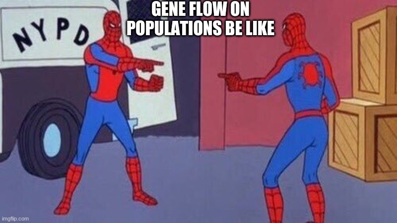 spiderman pointing at spiderman | GENE FLOW ON POPULATIONS BE LIKE | image tagged in spiderman pointing at spiderman | made w/ Imgflip meme maker