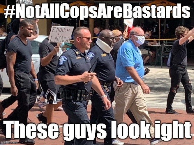Let's take time to remember the good cops. Police reform will help them do their jobs better. | image tagged in police brutality,police,black lives matter,blacklivesmatter,blm,police lives matter | made w/ Imgflip meme maker
