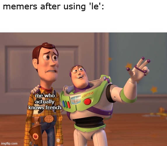 le memers | memers after using 'le':; me who actually knows french | image tagged in blank white template,memes,x x everywhere | made w/ Imgflip meme maker