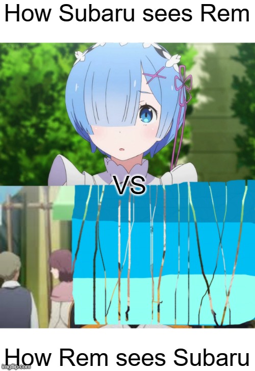 idk. | How Subaru sees Rem; VS; How Rem sees Subaru | image tagged in anime,animeme,bruh,memes,idk,funny | made w/ Imgflip meme maker