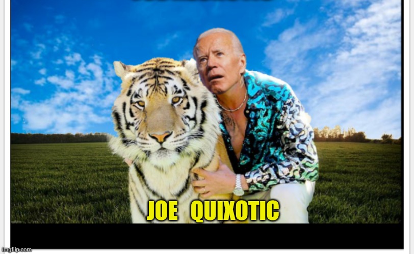 Exotic Joe Biden | JOE   QUIXOTIC | image tagged in exotic joe biden | made w/ Imgflip meme maker