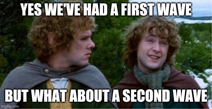 Merry and Pippin | YES WE'VE HAD A FIRST WAVE; BUT WHAT ABOUT A SECOND WAVE | image tagged in merry and pippin | made w/ Imgflip meme maker